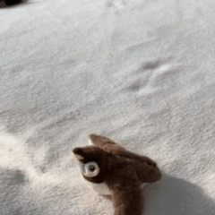 Giocattolo Interattivo con Suoni per Gatti e cani
